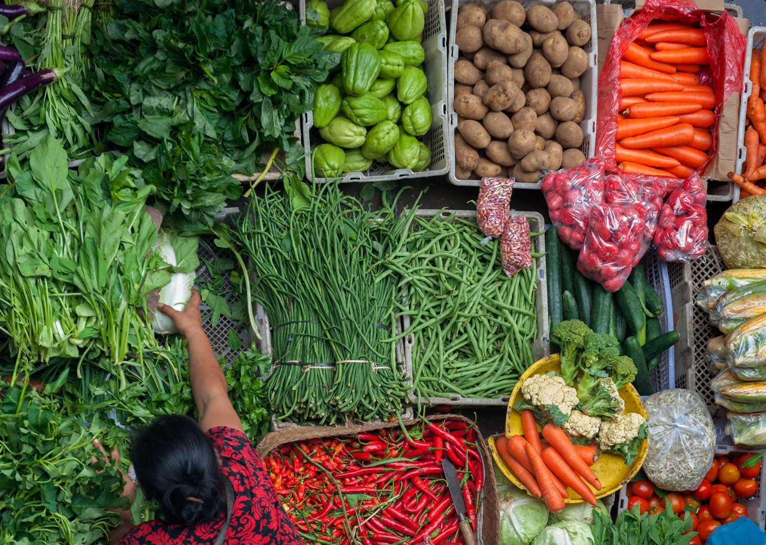 Farm to Market